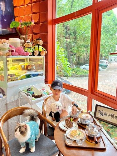 东莞的宠物友好咖啡店｜怎么办？孩子不肯走了~