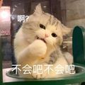 https://p1.meituan.net/userheadpicbackend/610579f835f439715aa2eede16d6de9f510033.jpg%40120w_120h_1e_1c_1l%7Cwatermark%3D0