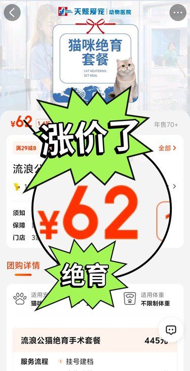 流浪猫绝育62元！再不下手又涨价了！
