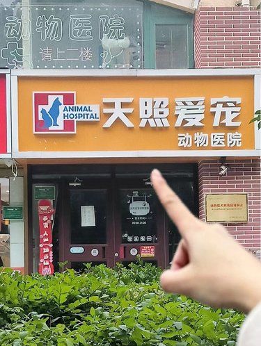 这会是下一家倒闭的宠物医院吗…❓❗
