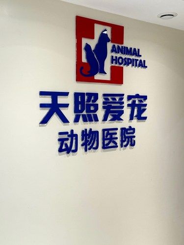 一家有大爱的宠物医院 