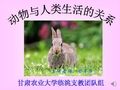动物与人类的关系1