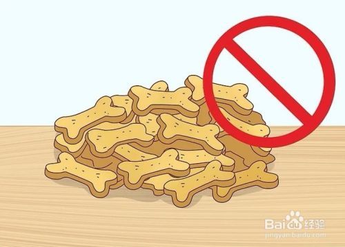 怎样才能增加狗狗的食欲？