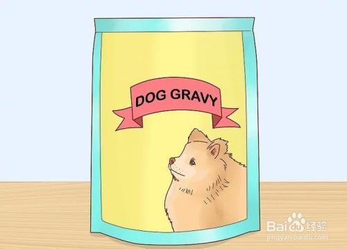 怎样才能增加狗狗的食欲？
