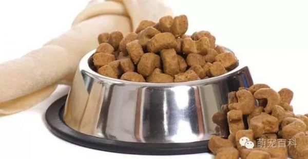 提高狗狗食欲的三个方法