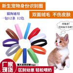 厂家现货新生宠物身份识别圈小猫小狗彩色项圈幼犬出生标记记号绳