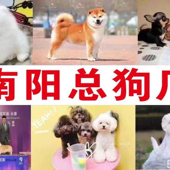 店主头像