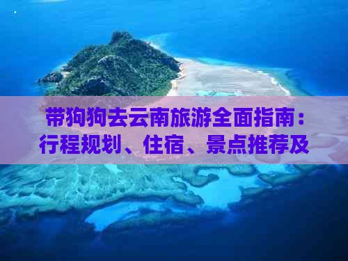 带狗狗去云南旅游全面指南：行程规划、住宿、景点推荐及必备事项