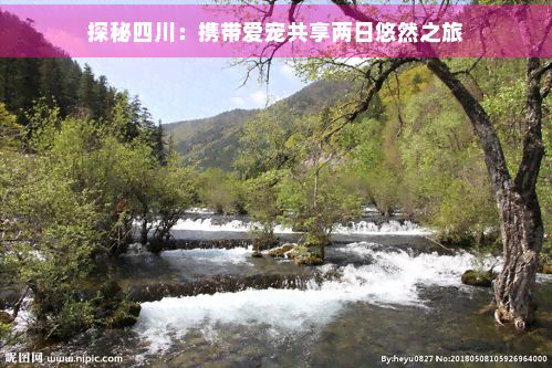 探秘四川：携带爱宠共享两日悠然之旅