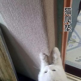 隔音材料;墙纸、壁纸;其他泡沫塑料