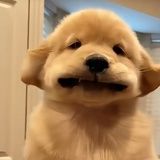 小薰不睡觉