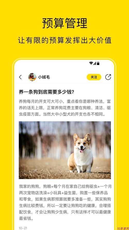 成为宠物营养师，解锁宠物健康秘诀：哪些职业方向等待你？