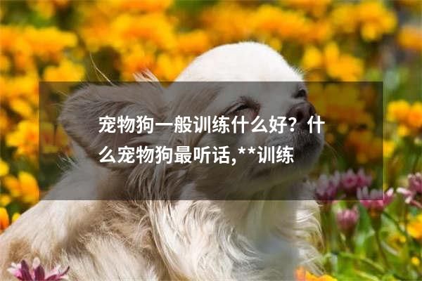 宠物狗一般训练什么好？什么宠物狗最听话,**训练