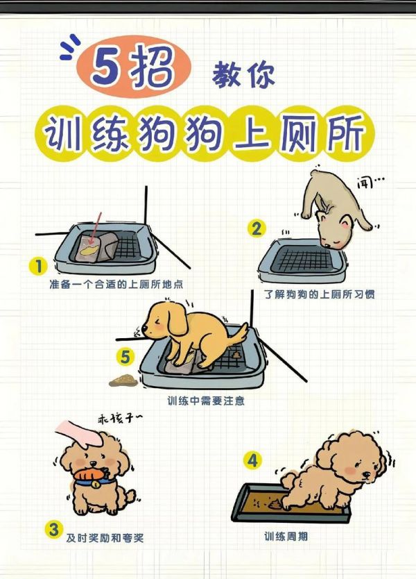 如何训练狗狗大小便,如何训练狗狗大小便方法