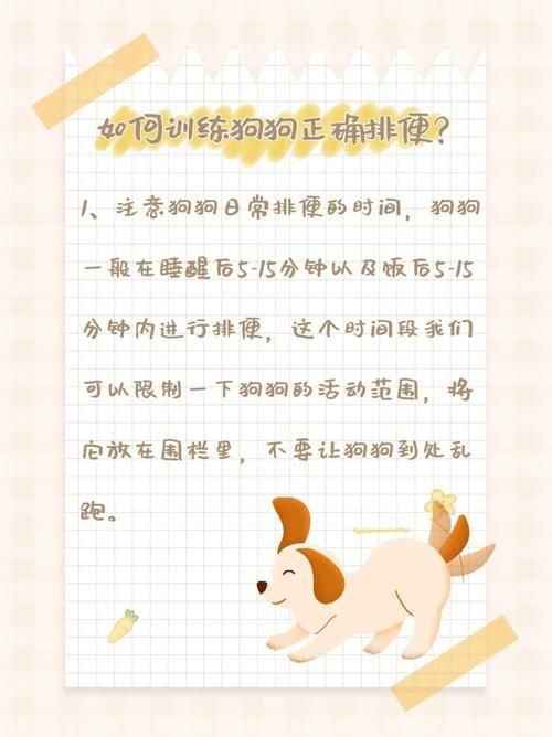 如何训练狗狗大小便,如何训练狗狗大小便方法