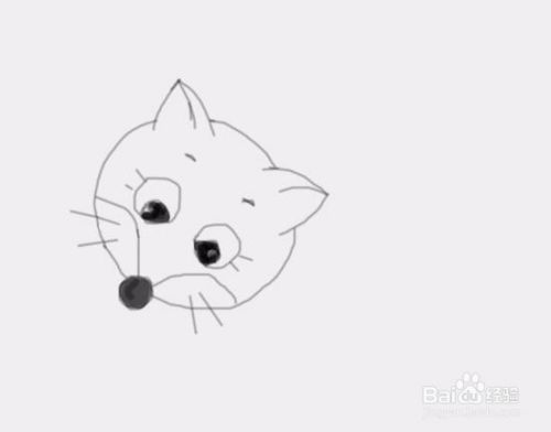 小猫咪是怎么画的