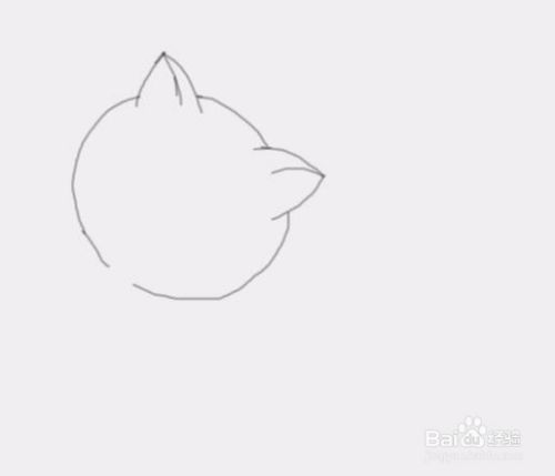 小猫咪是怎么画的