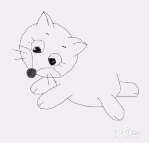 小猫咪是怎么画的