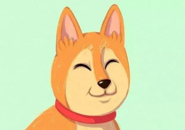 掌握狗狗的这16个行为，就可应付平时日常生活的互动了！
