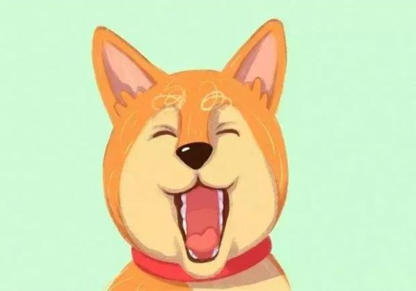 掌握狗狗的这16个行为，就可应付平时日常生活的互动了！