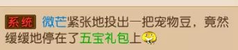 宠物乐园就该这么玩