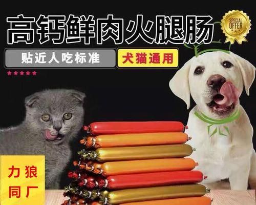 猫咪肠粘膜脱落的应对方法（宠物主人必知的急救技能）