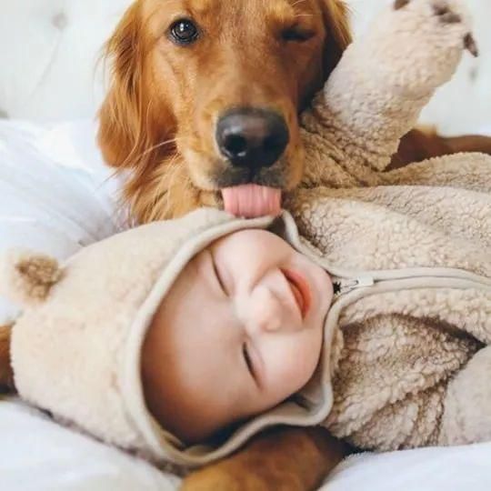 孩子与宠物：如何防止潜在的“宠物危险”？
