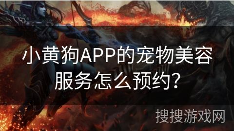 小黄狗APP的宠物美容服务怎么预约？