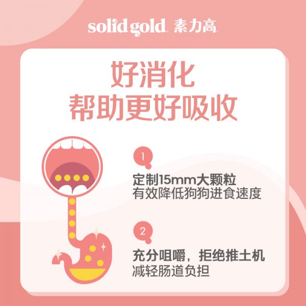 Solid Gold素力高每日营养犬粮泰迪金毛柯基边牧全阶通用狗粮24磅