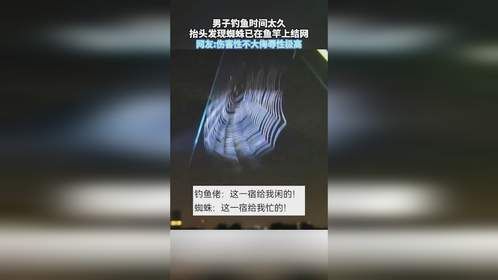 男子钓鱼时间太久，抬头发现蜘蛛已在鱼竿上结网。网友伤害性不大侮辱性极高