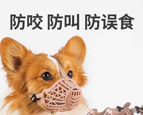 如何教狗狗停止咬嘴唇（宠物训练技巧）