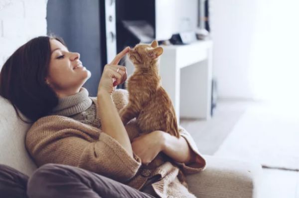 一种叫做刚地弓形虫（Toxoplasma gondii）的单细胞寄生虫，一旦它们感染老鼠，就会将胆小、害怕风险的老鼠变得胆大，甚至主动寻找猫，然而猫将感染后的老鼠吞食之后，就会在接触人类的过程中将刚地弓形虫传染给人类。