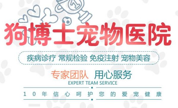 如何给狗狗进行眼部清洁护理