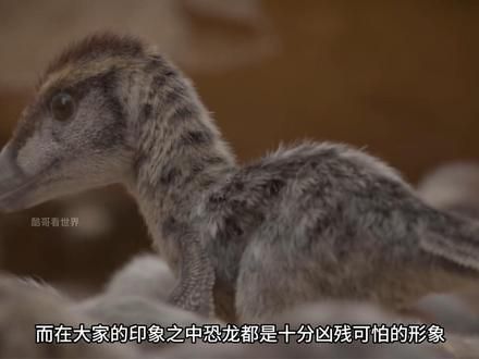 蹲坑看恐龙，狂野巨兽的进化过程 #远古生物 #史前巨兽 #古生物 #野生动物