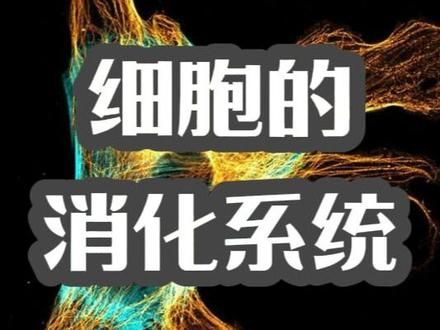 细胞如何消化食物？ #知识科普 #生命科学 #人体细胞微观世界科普 #每天跟我涨知识 #科学高光故事集