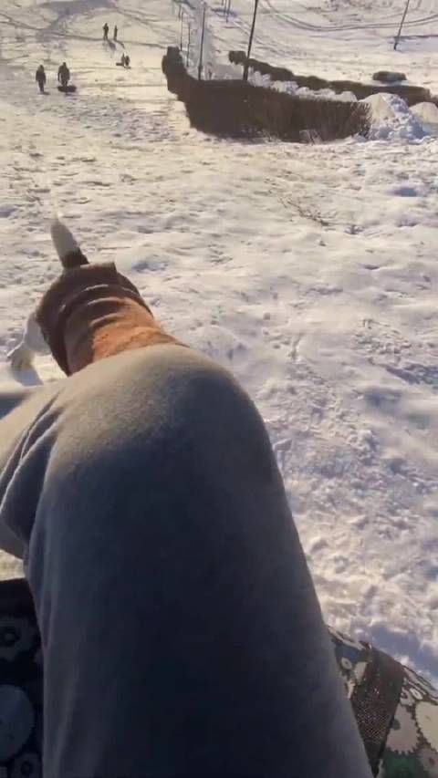 俄罗斯一只宠物狗与滑雪的主人比赛奔跑……