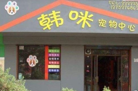 宠物用品店名字