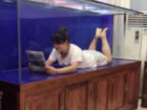 店主头像