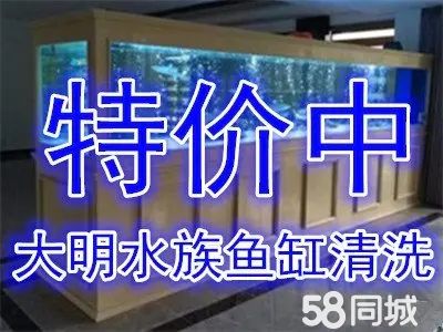 大明水族鱼缸清洗三环平价·专业上门清理鱼缸，清洗鱼缸，鱼缸换水，鱼缸定制，鱼缸鱼池维护