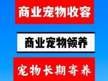 宠物收容所赠送领养 动物收容机构 动物收养中心 宠物收容站