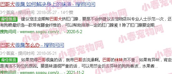 巴哥犬体臭怎么办
