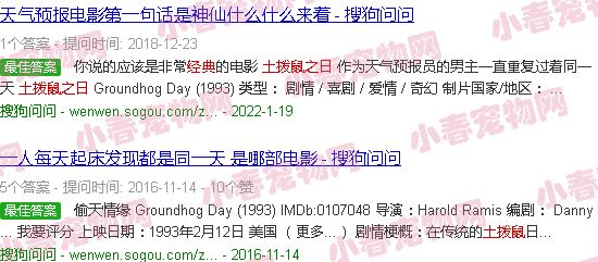 土拨鼠之日5个经典台词