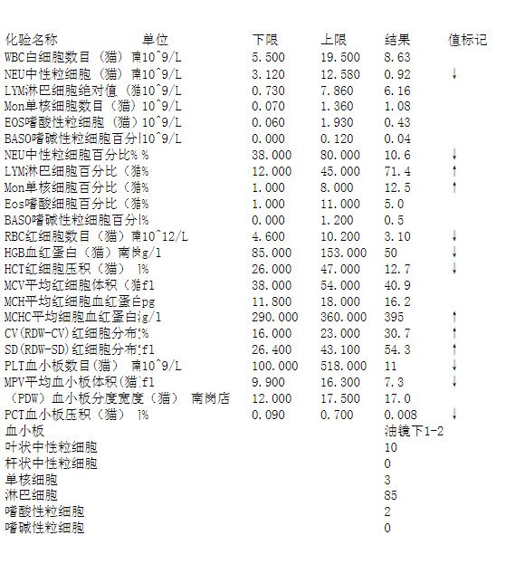 犬、猫血小板减少性紫癜
