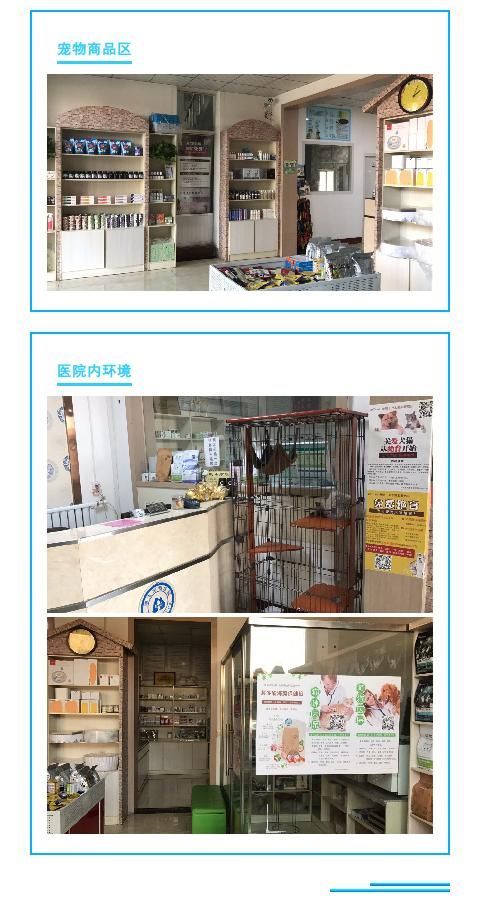 宠物酒店加盟项目，一个充满爱与关怀的商业领域