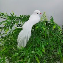 14cm红嘴白鸽仿真羽毛小鸟/道具小鸟白色羽毛鸟