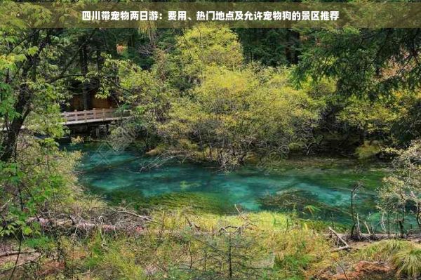 四川带宠物两日游：费用、热门地点及允许宠物狗的景区推荐