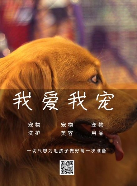 我爱我宠宠物狗狗宣传海报