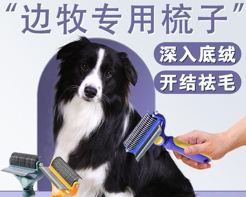 宠物狗狗毛发打结的防治方法（从日常护理到专业修剪）