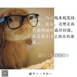 宛若清风