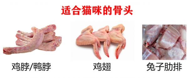 文章图片8